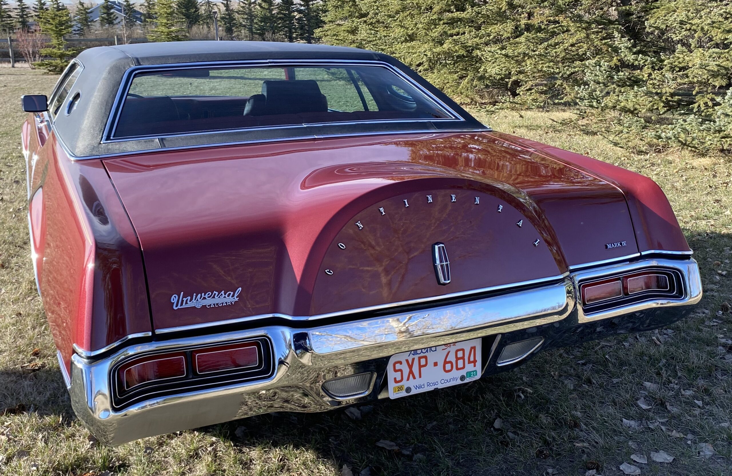 Photo 2024-04-13, 9 08 18 AM